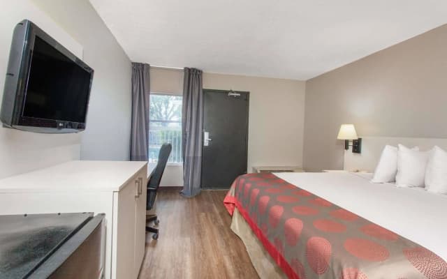 Quality Inn Orlando Near International Drive - photo 5