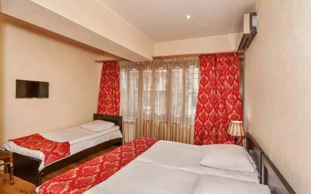 Hotel VIP - photo 3