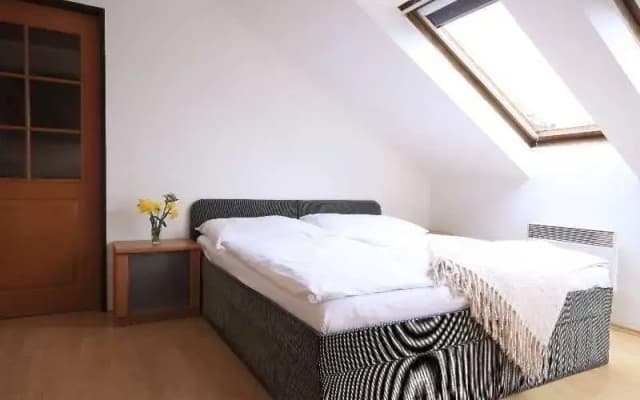 Jungmann Apartments - photo 3