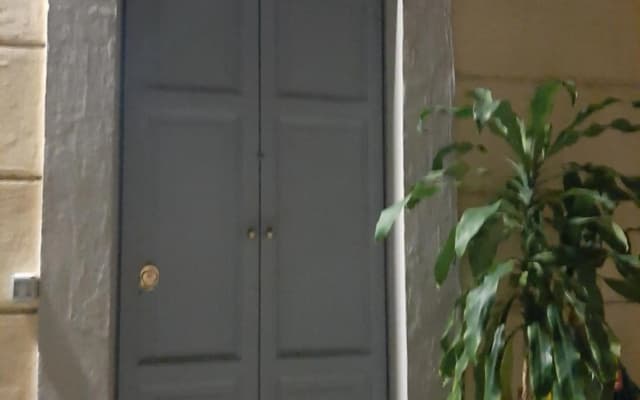 Savoia 19 - photo 2