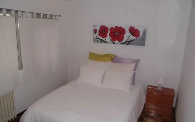 Olmo - photo 3