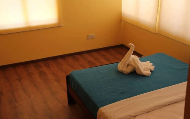 Fat Rhino Hostel - photo 5