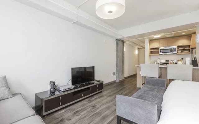 Soma Lofts Apartment - photo 5