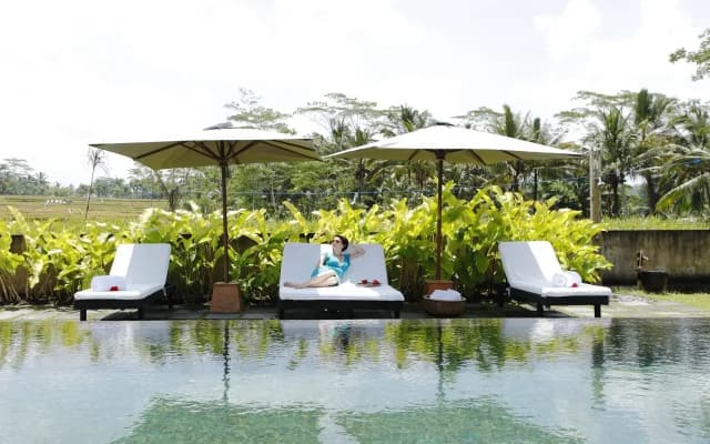 The Amerta Private Villa Ubud - photo 3