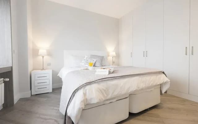 Torre de Madrid Executive - MADFlats Collection - photo 5