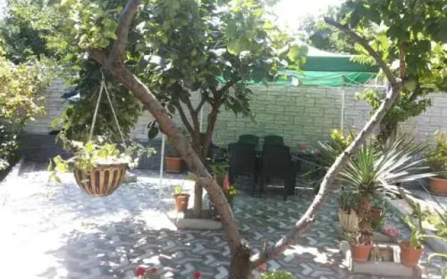 Sevda - photo 2