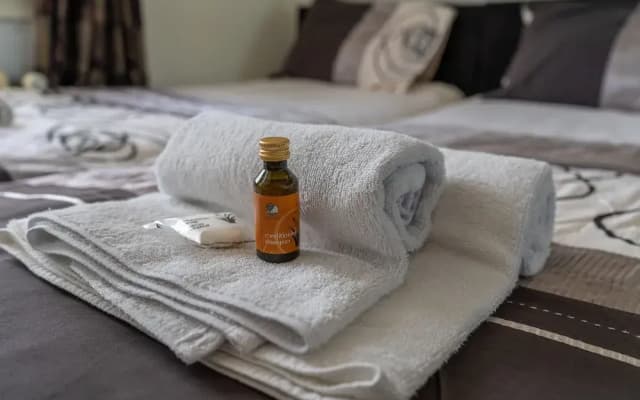 De Baronie B&B - photo 3
