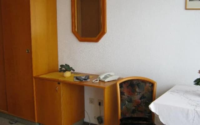An den Birken - photo 4