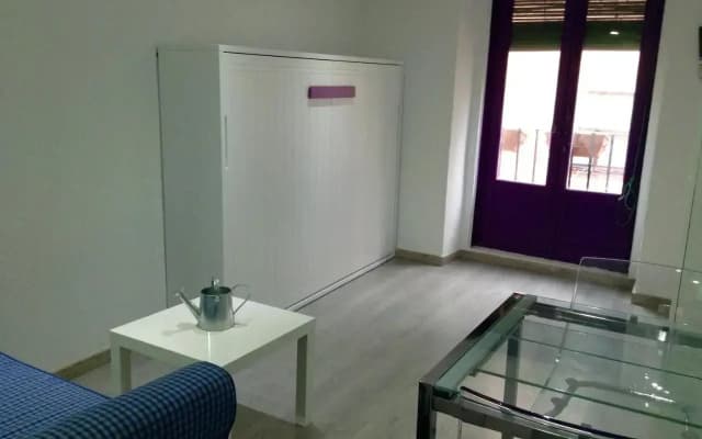 S42 Estudio en Madrid Centro con Wifi - photo 4