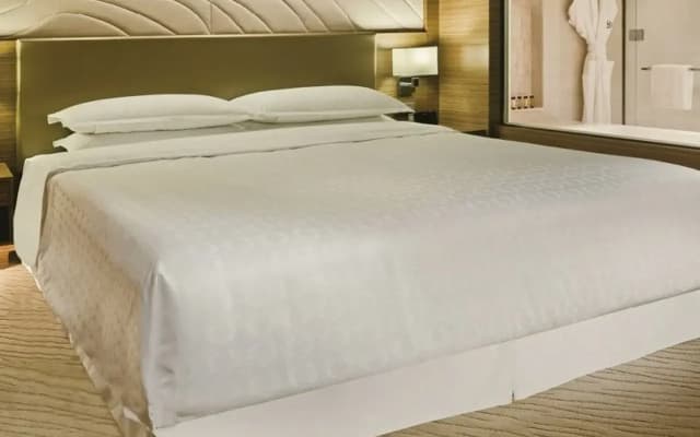 Sheraton Seoul D Cube City Hotel - photo 5