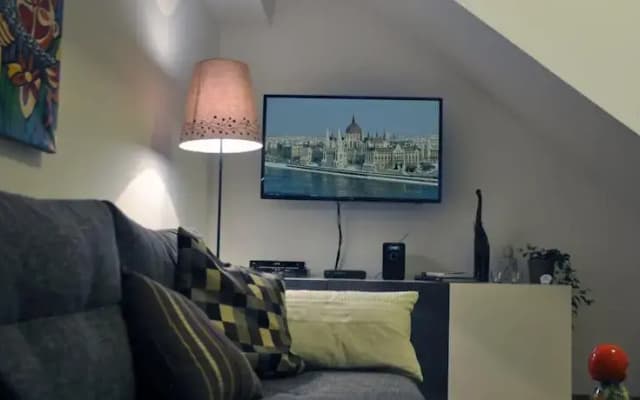 Luxury Home in Budapest - photo 5