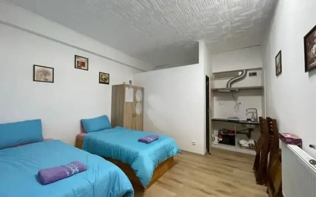 Cozy Studio in Zizkov, Prague - photo 4