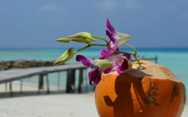 Canopus Retreat Thulusdhoo - photo 3