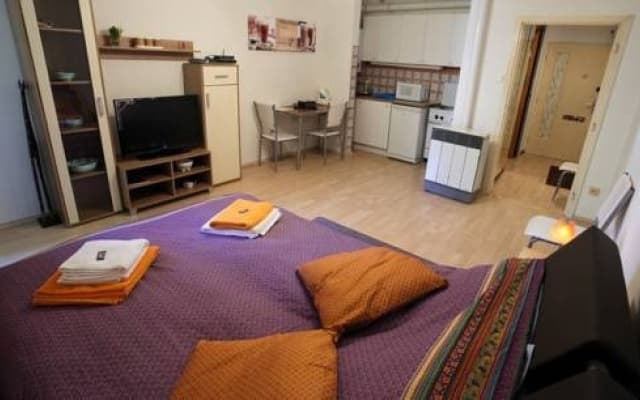 Apartment Pfeilgasse - photo 3