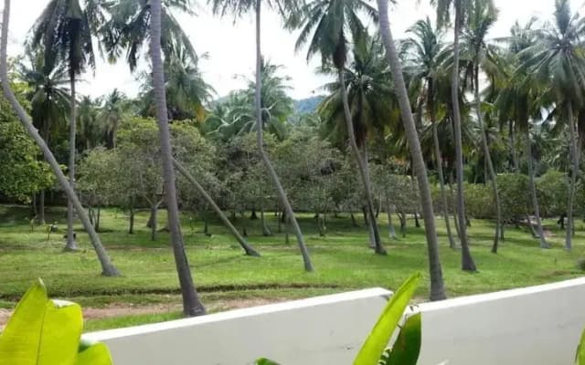 Choeng Mon Resort - photo 4