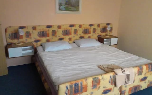 Pension Berta - photo 2