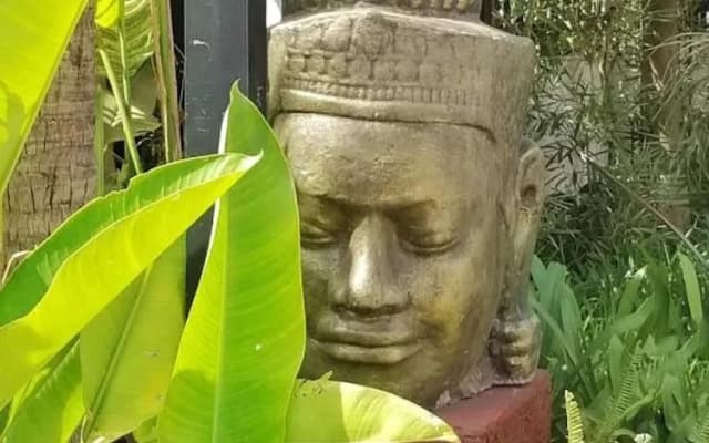 Saline Siemreap Residence - photo 3