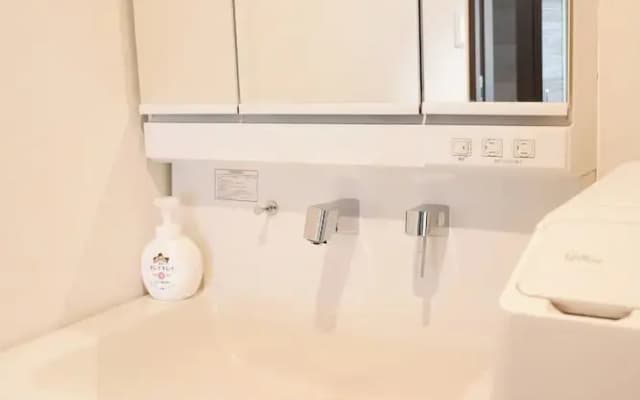 Maison Le Blanc Shironeri - photo 3