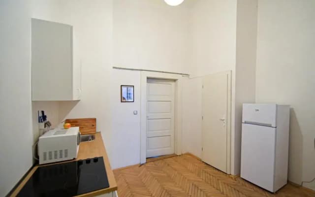 Dittrichova Apartment - photo 3