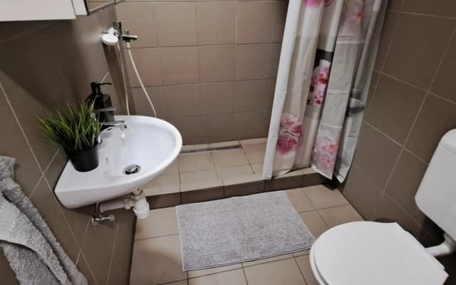 6-Pack Apartment in the Party District - photo 5