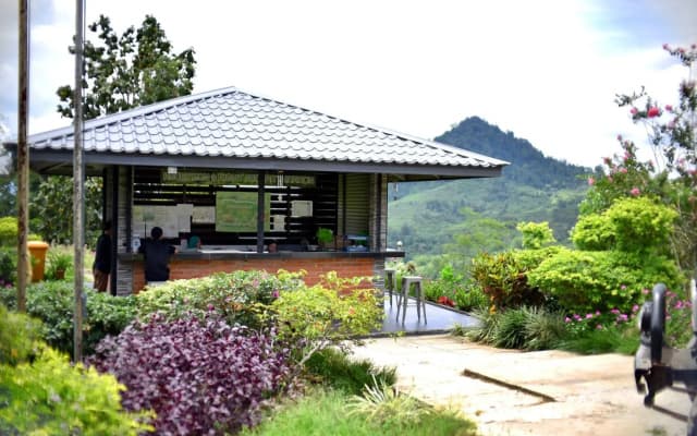 Sabah Tea Garden-Longhouses - photo 3