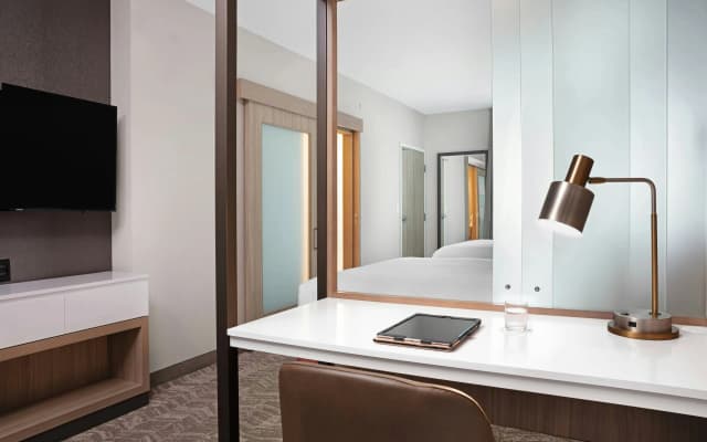 SpringHill Suites by Marriott Orlando Theme Parks/Lake Buena Vista - photo 3