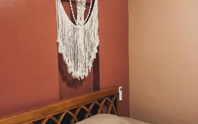 Cactus Homestay - photo 5