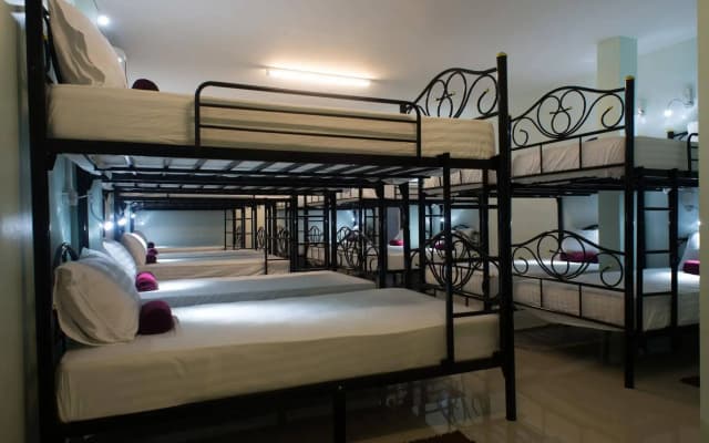 Plan B Hotel - Hostel - photo 2