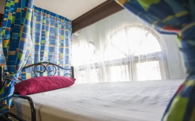 Mad Cow Hostel - photo 2