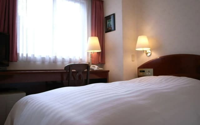 Ueno Terminal Hotel - photo 2