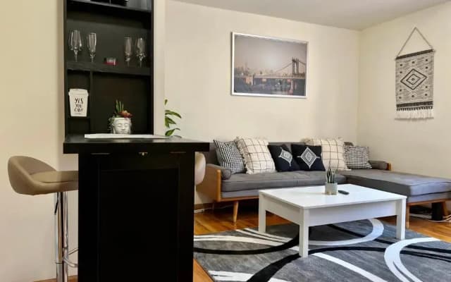 Entire Apartment near Times Square - photo 3