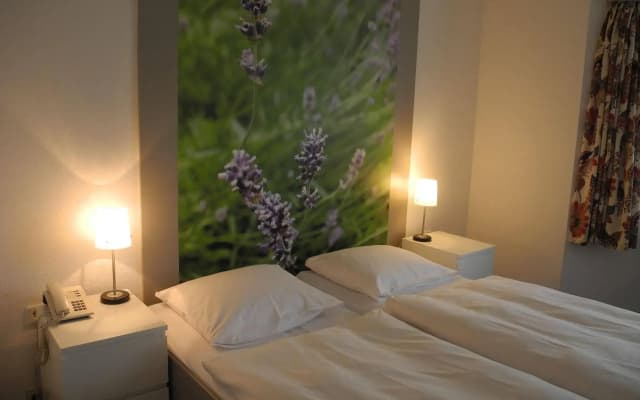 Havel Lodge Hotel - photo 5