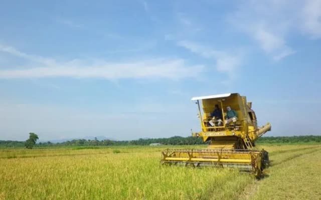 Kahang Organic Rice Eco Farm Resort - photo 2