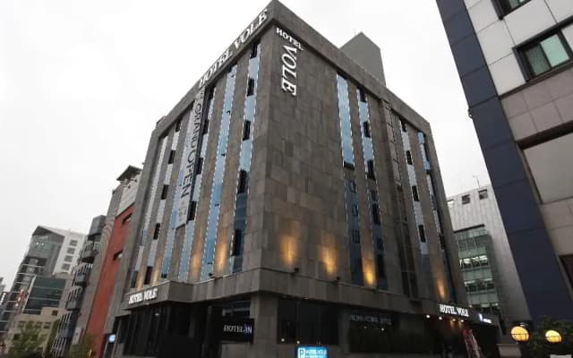 Gangnam Vole Hotel - photo 4