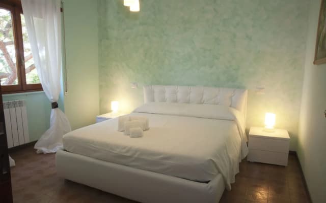 Domus in Viridi - photo 3