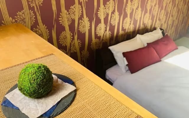 Hotel-ikoi-komagome 101 - photo 3