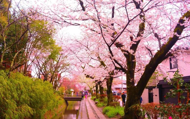 Tawaraya Ryokan - photo 4