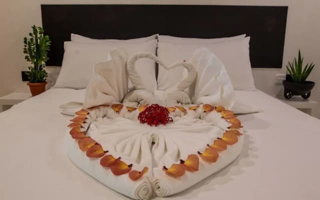 Rasdhoo Apartment Lodge - photo 2