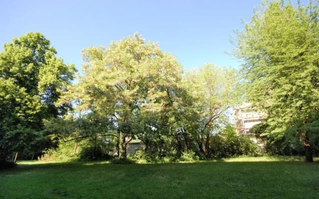 Apartment East Side - Pflugstrasse 4 - photo 5