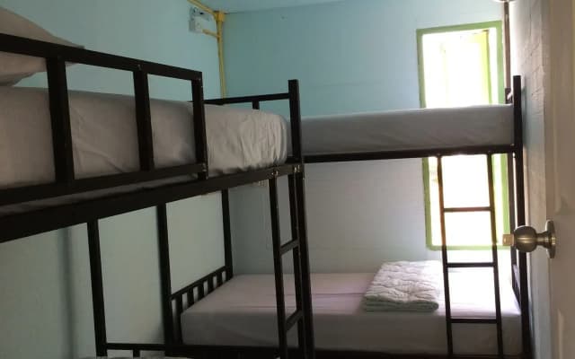 Ozone Hostel - photo 3
