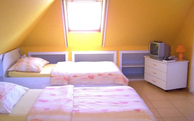 Irini Panzio - photo 3