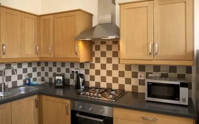 Windmill Serviced Apartments - photo 4