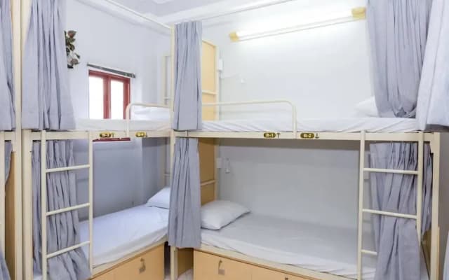 Tropical Vibes Homestay In Sai Gon Hostel - photo 5