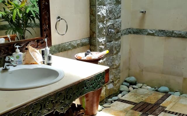 Green Chaka Villa - photo 5