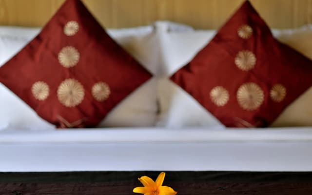 Gino Feruci Villa Ubud - photo 3