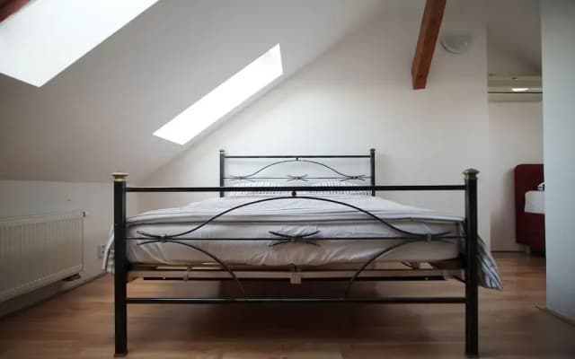 Attic Flat With Amazing Terrace - photo 4