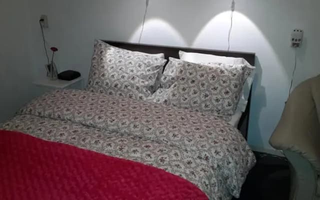 Niemollerstraat B&B Amsterdam - photo 2