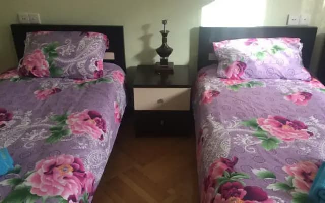 Aleksidze 2 - photo 3