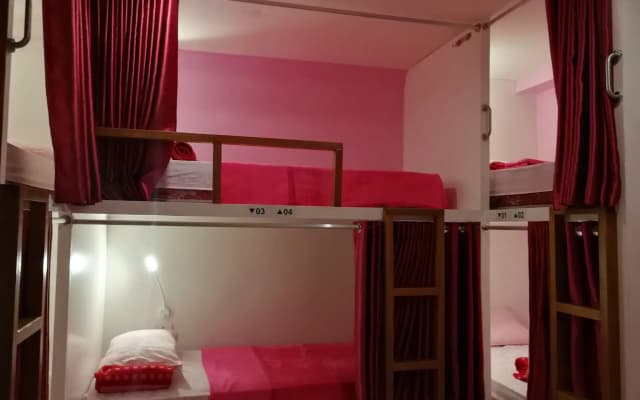 Sleepy Raccoon Hostel - photo 3
