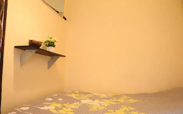 Eco House - photo 2